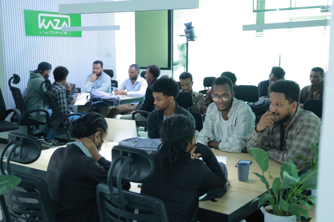 The SWAFRI team at work